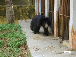 kota zoo