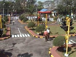 traffic park