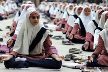 Govt. pushes yoga�s universal appeal, Ministry releases book