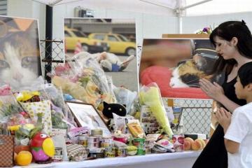 A train talisman, cat interred as goddess