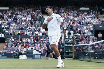 Bad light stops Djokovic after epic fightback