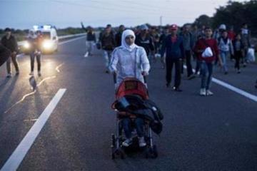 Refugee crisis: Hundreds surge past police near Hungary border