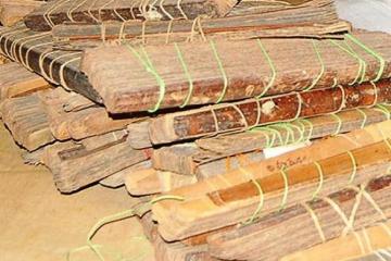 Now, bid to push back antiquity of the Vedas