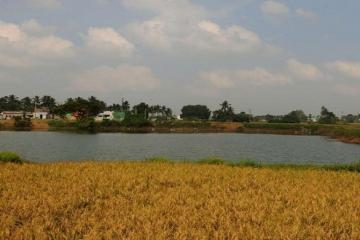 Satellite town in a flood plain