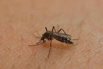 China reports first case of imported Zika virus