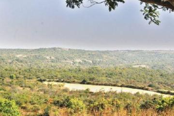 Leopard leaves Bannerghatta park officials stupefied