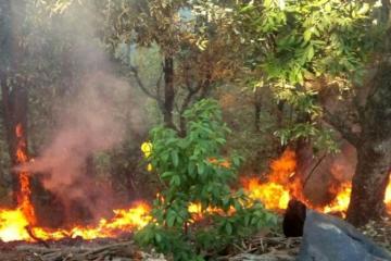Showers help in fighting Uttarakhand forest fires