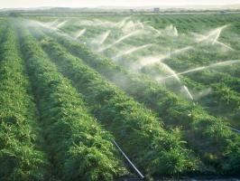 Sprinkler irrigation
