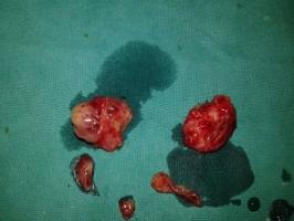 Dr Kaushal Maheshwari Dr Kaushal Maheshwari